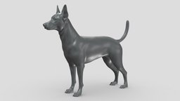 Zwergpinscher V3 3D print model