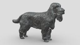 English Cocker Spaniel V1 3D print model