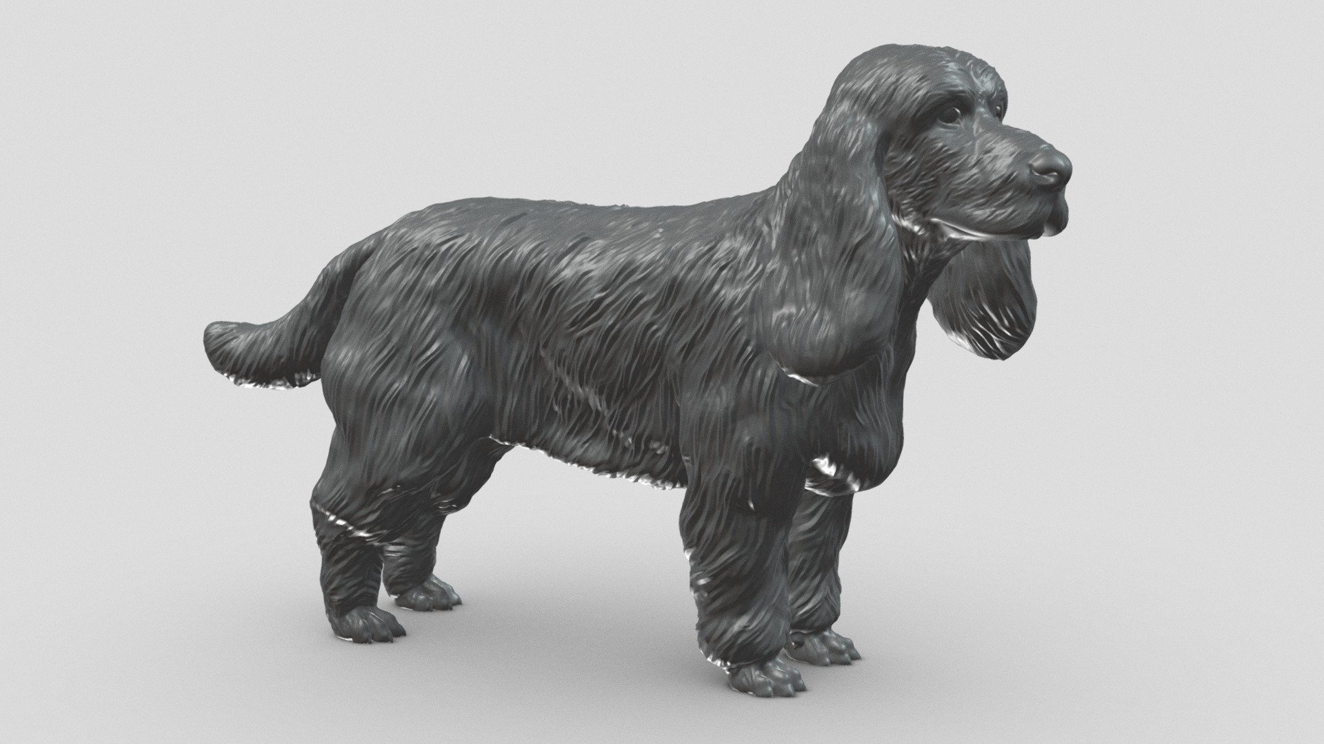 English Cocker Spaniel V1 3D print model 3d model