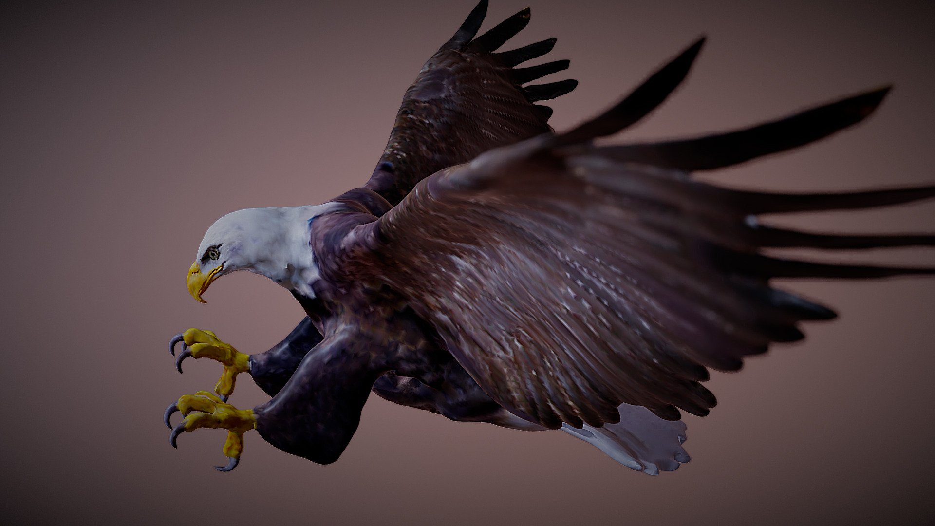 Bald Eagle Attack 3d model