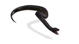 Skined LowPoly Realistic Black Python Snake