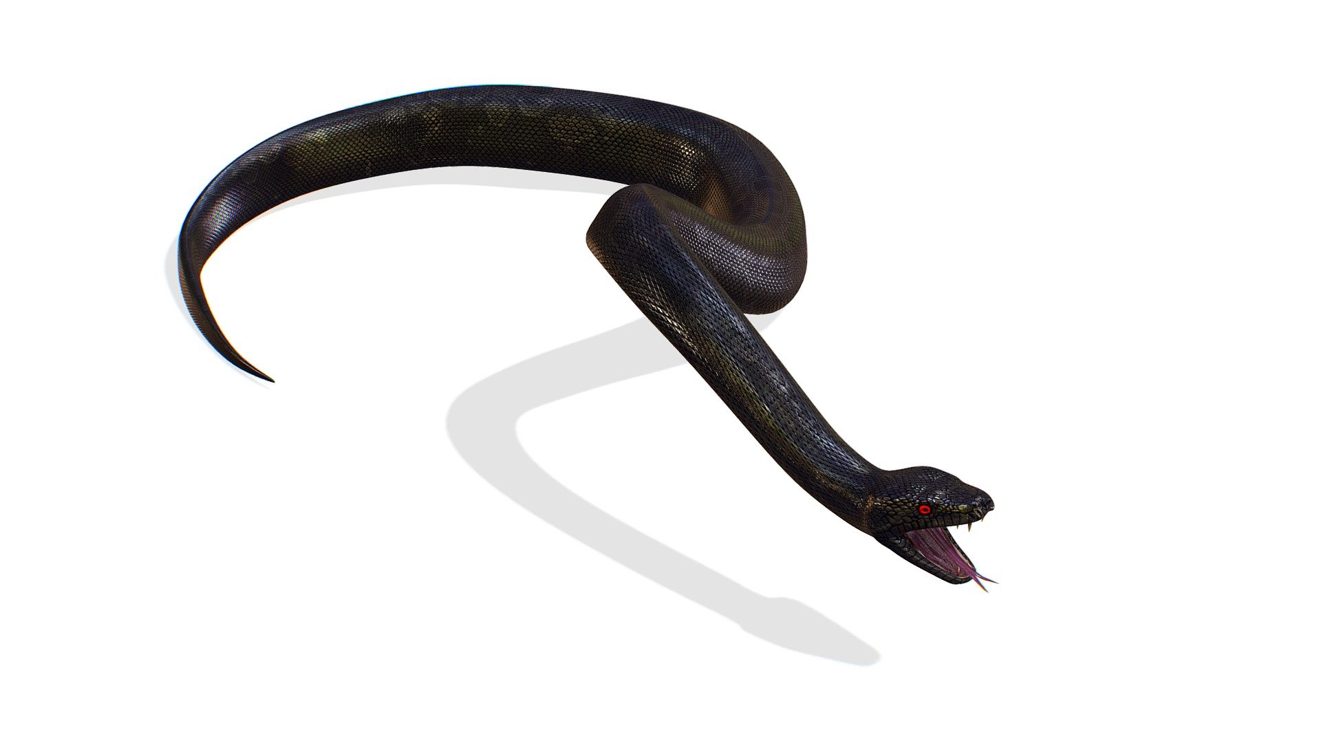 Skined LowPoly Realistic Black Python Snake 3d model