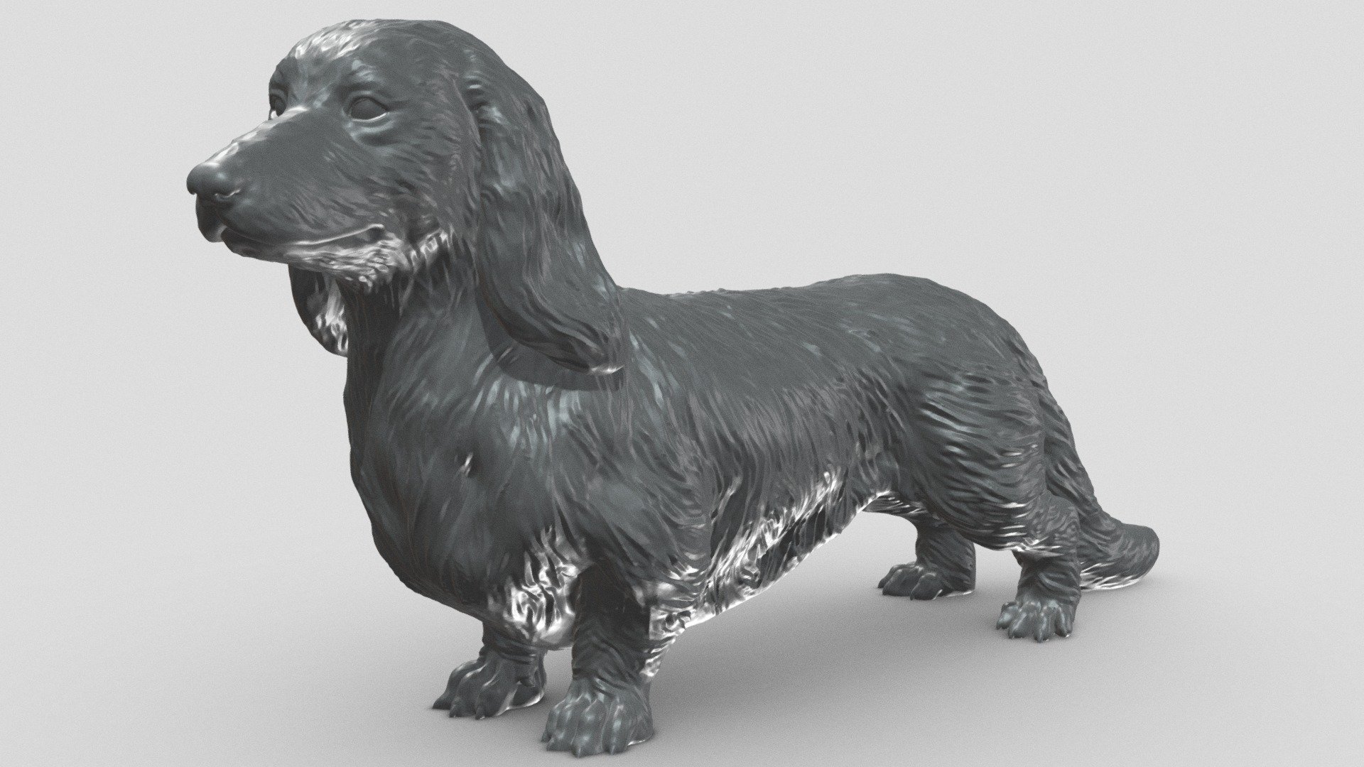 Long Haired Dachshund V1 3D print model 3d model