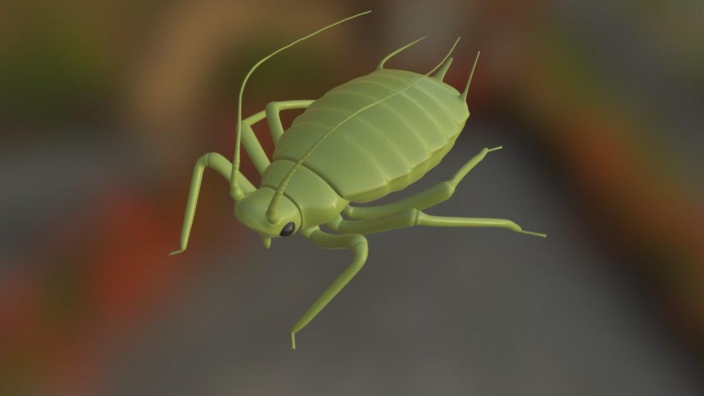 Aphid 3d model