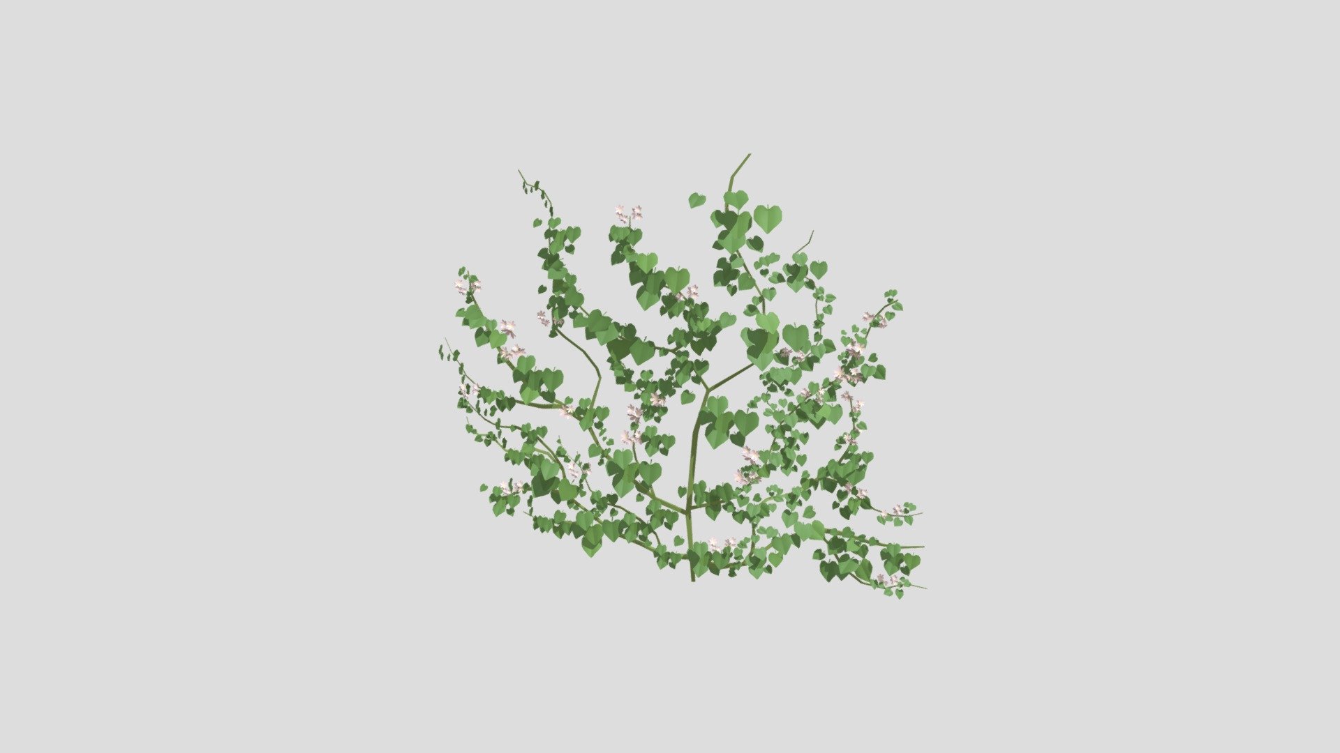 Ivy 3d model