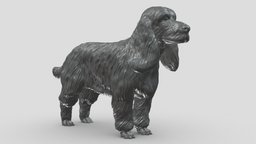 English Cocker Spaniel V3 3D print model