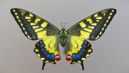 Butterfly Yellow