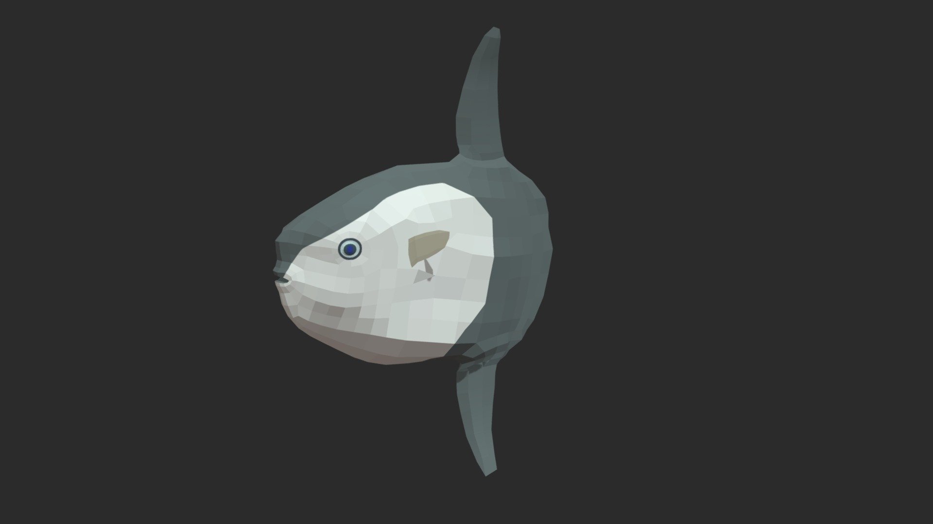 Sunfish 3d model