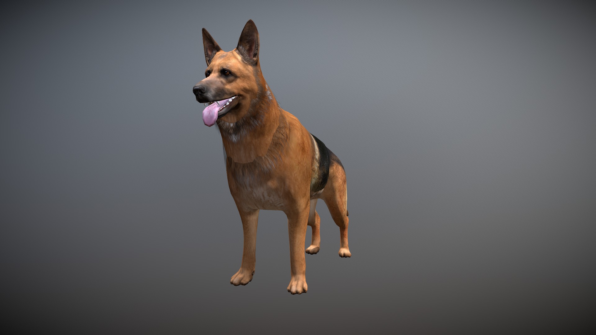 Dog 3d model