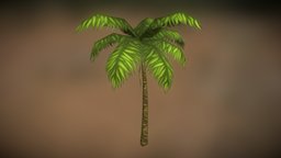 Palm Tree