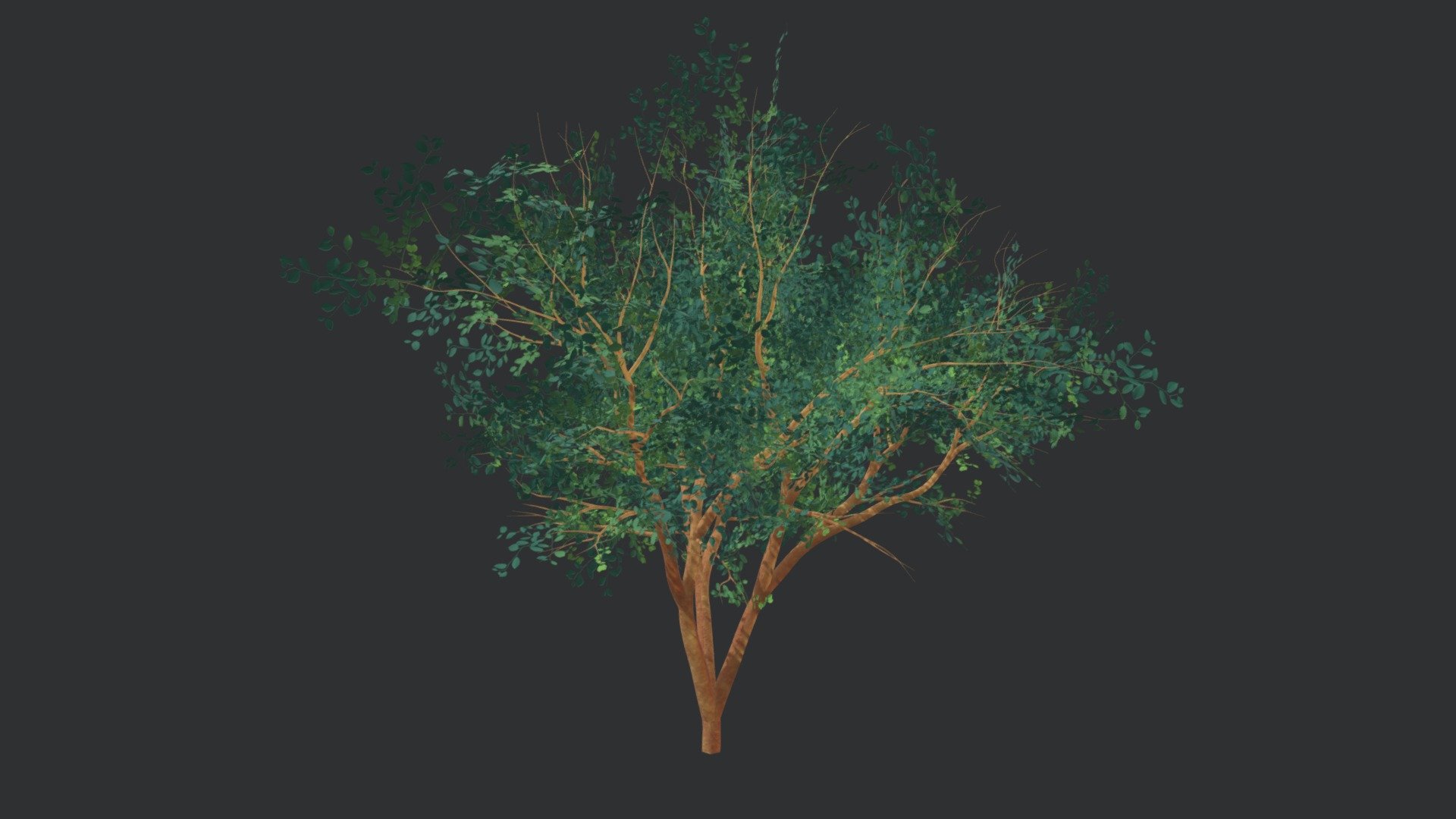 Green-leaved Tree 3d model