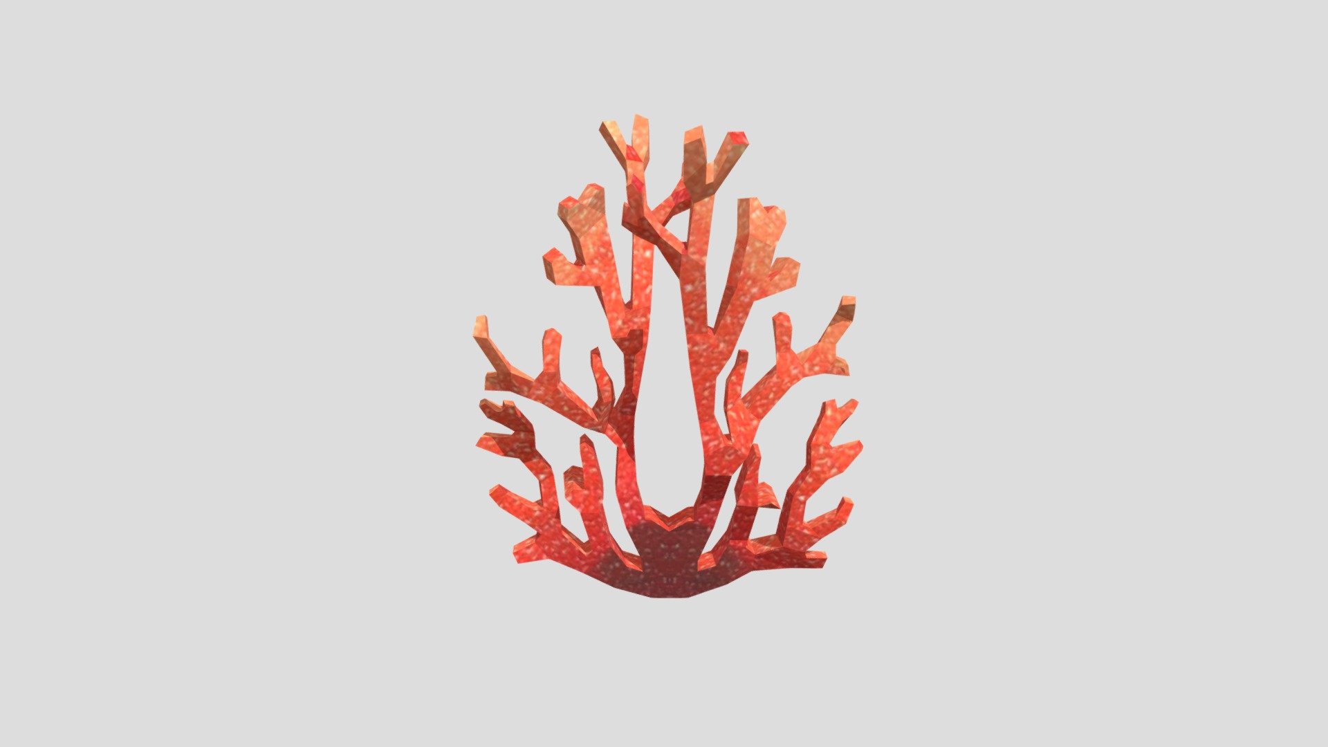 coral 3d model