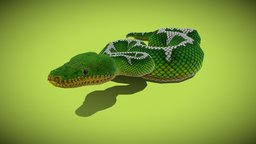 Emerald Tree Boa