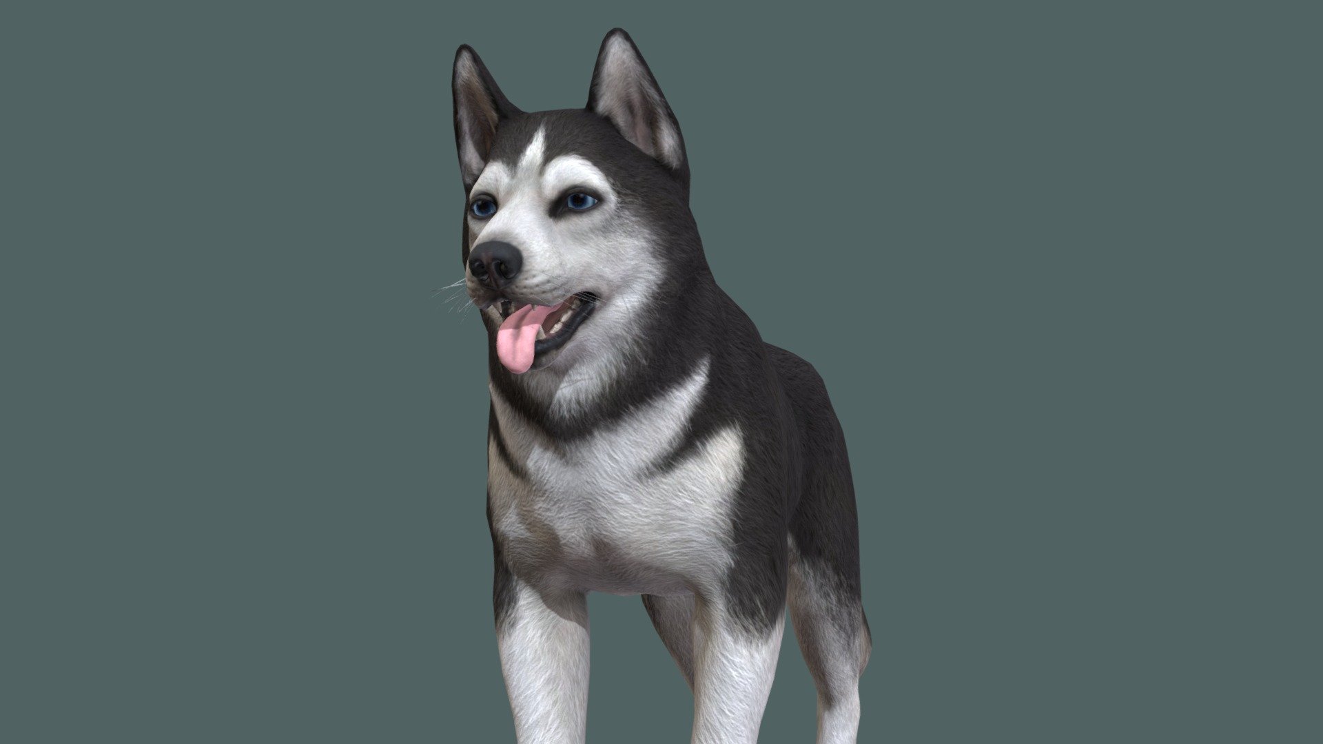 Dog 3d model