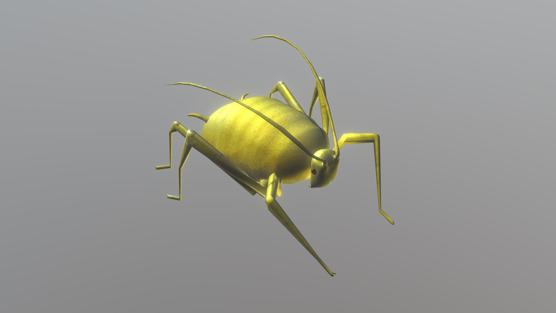 Myzus persicae 3d model