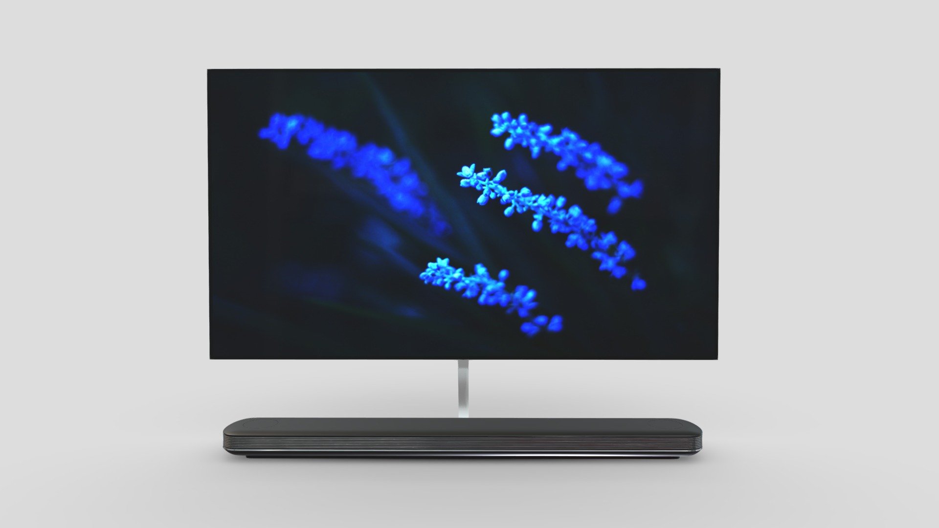 LG SIGNATURE OLED TV W 65 Inches 3d model