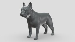 French Buldog V3 3D print model