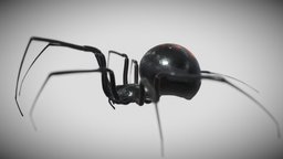 Black widow 3d model