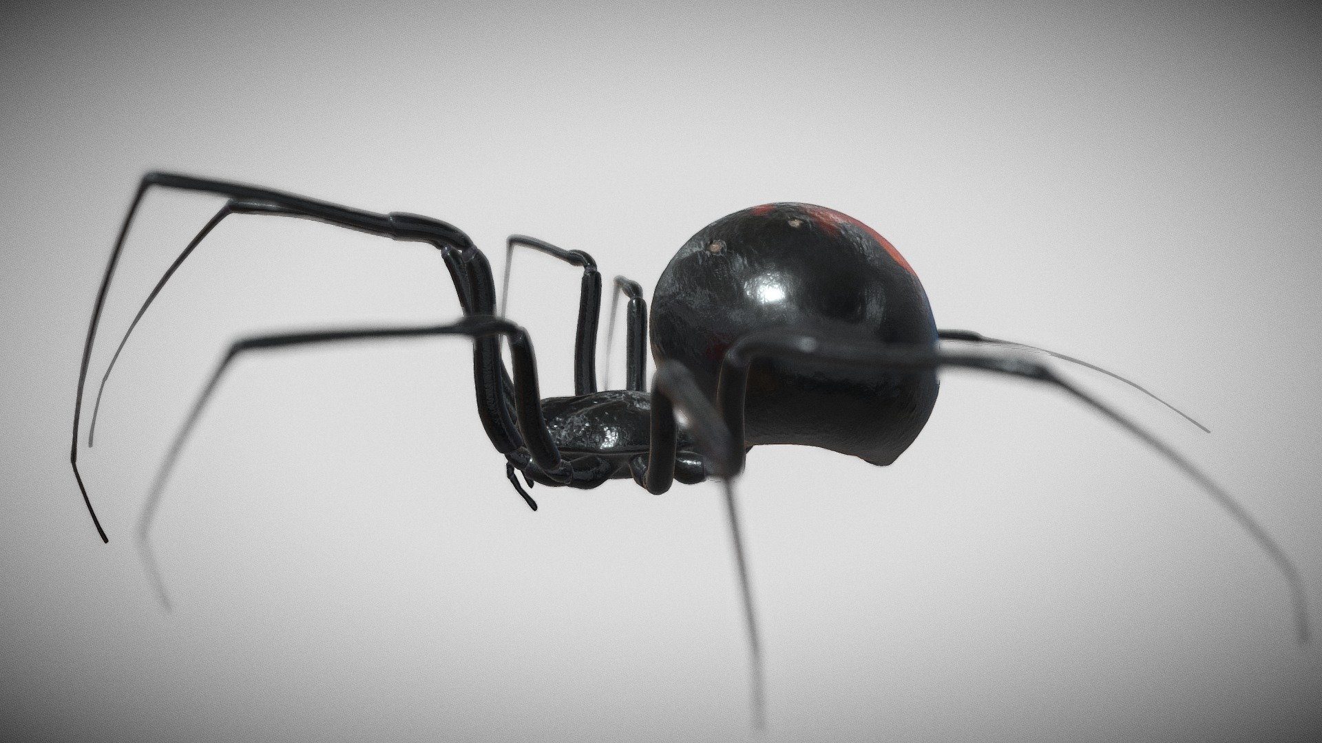 Black widow 3d model 3d model