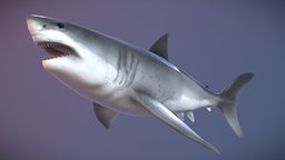 Megalodon