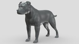 English Staffordshire V3 3D print model