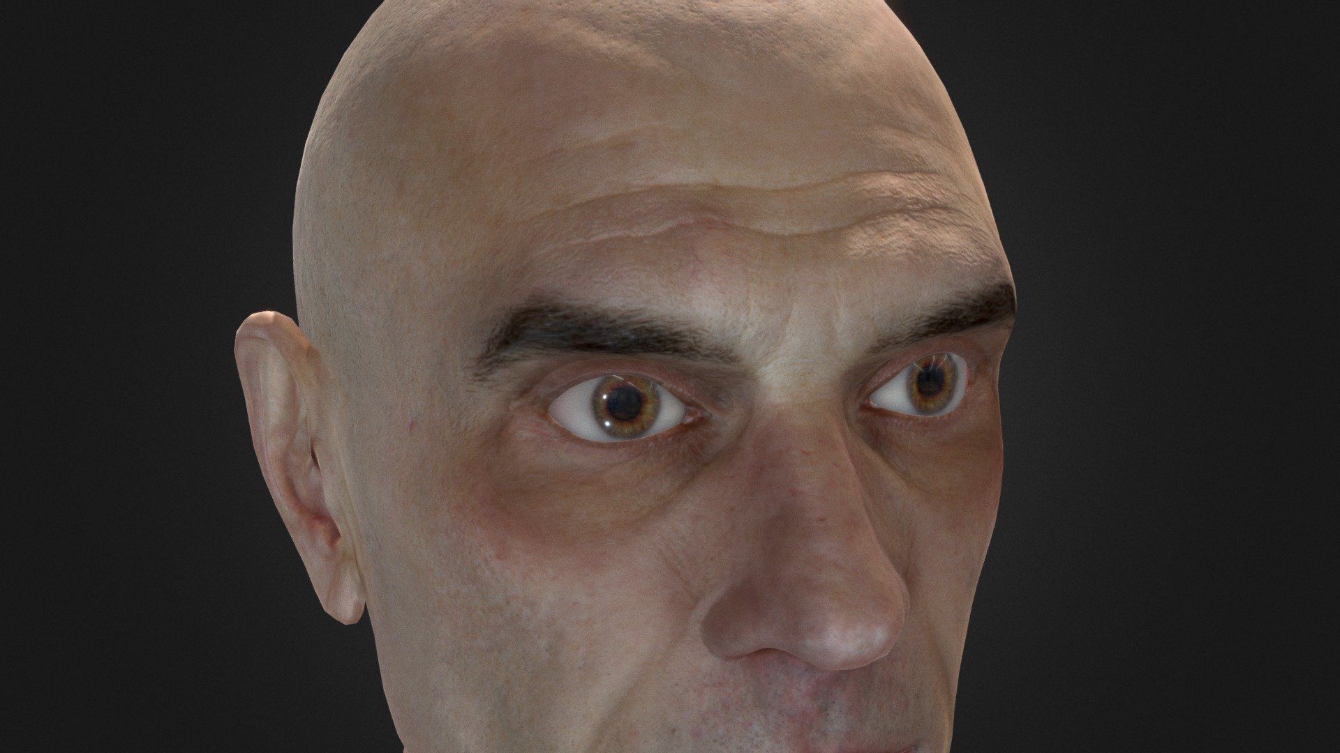 Photo-realistic head study 3d model