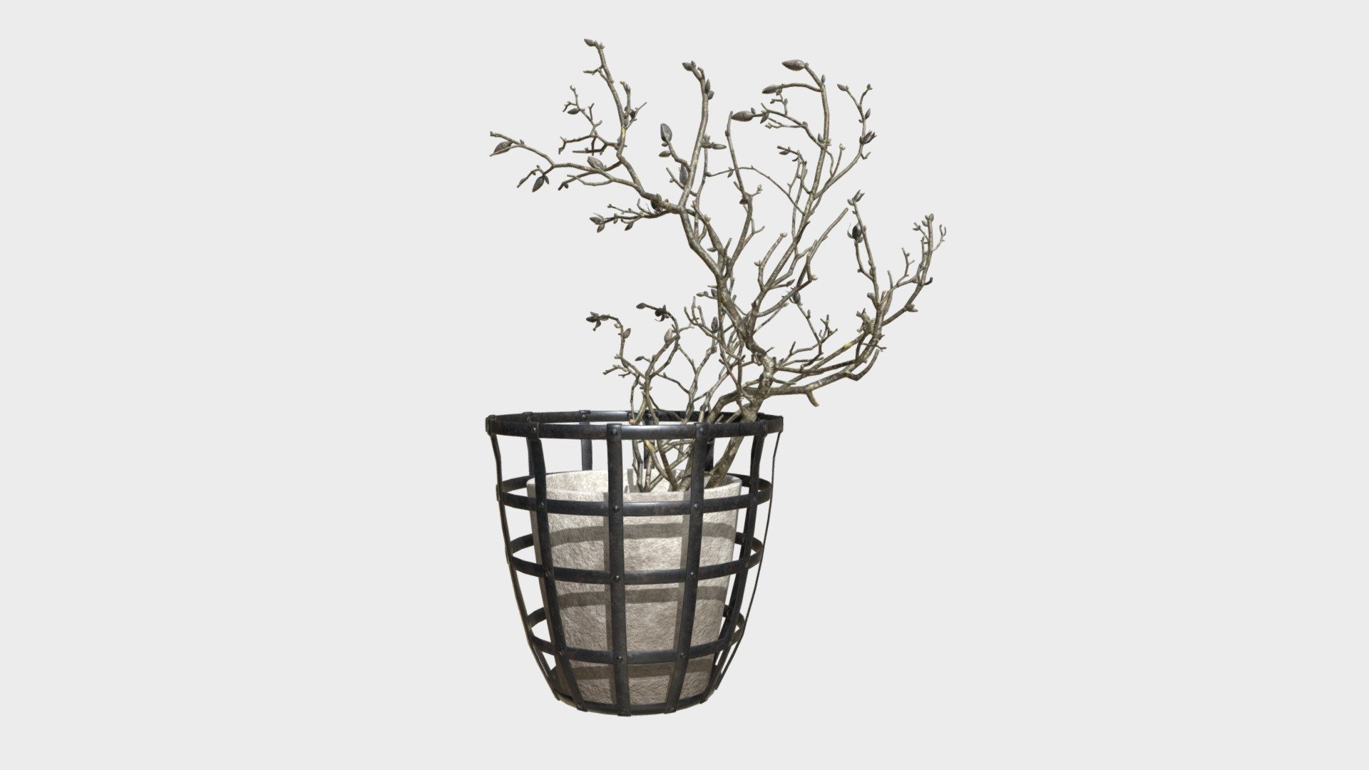 Decor branch dry magnolia 3d model