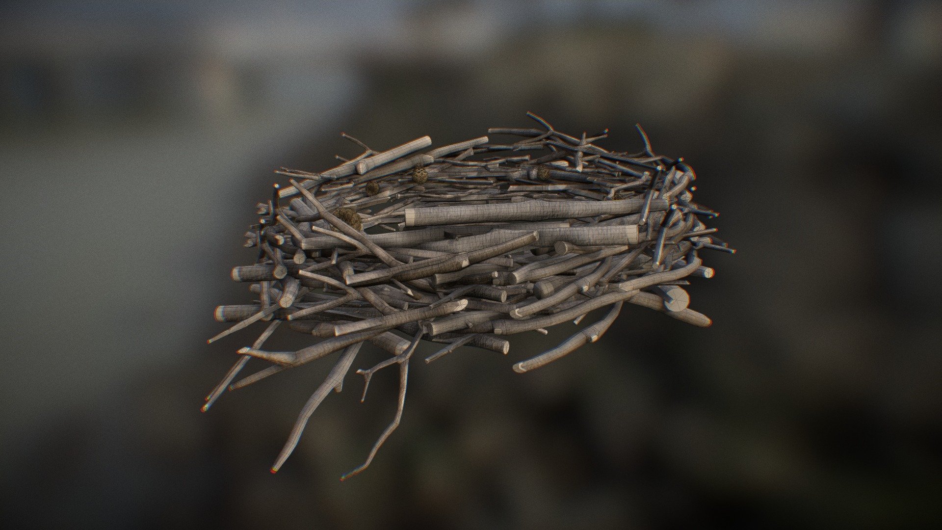 Osprey Nest Concept 3d model