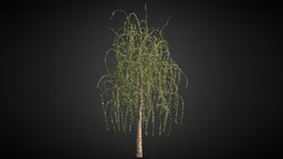 Tree_test2