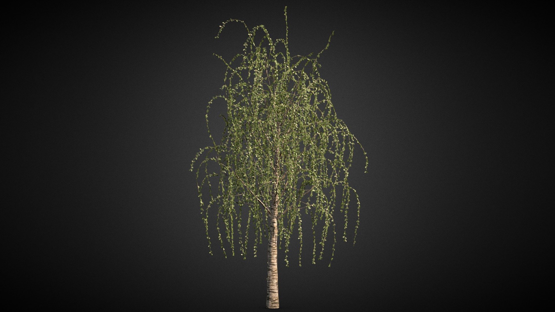 Tree_test2 3d model