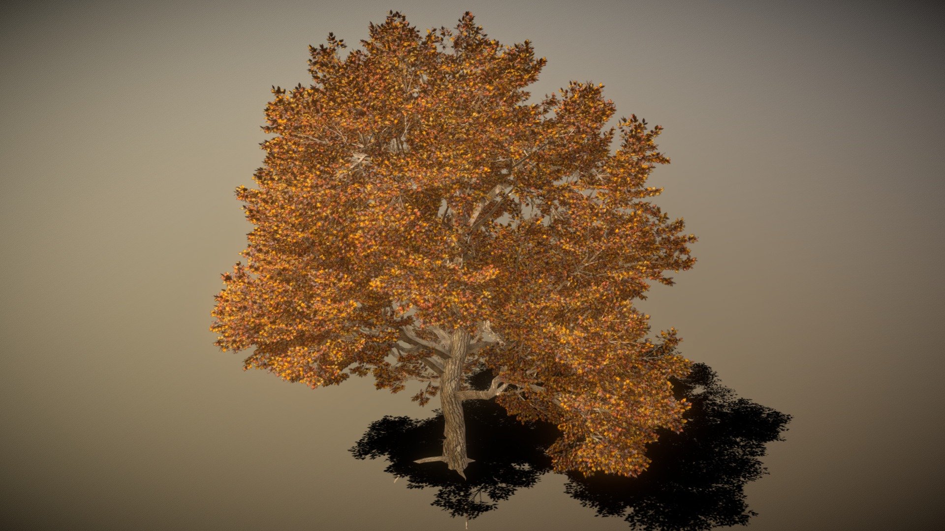 Green Ash Tree 3d model