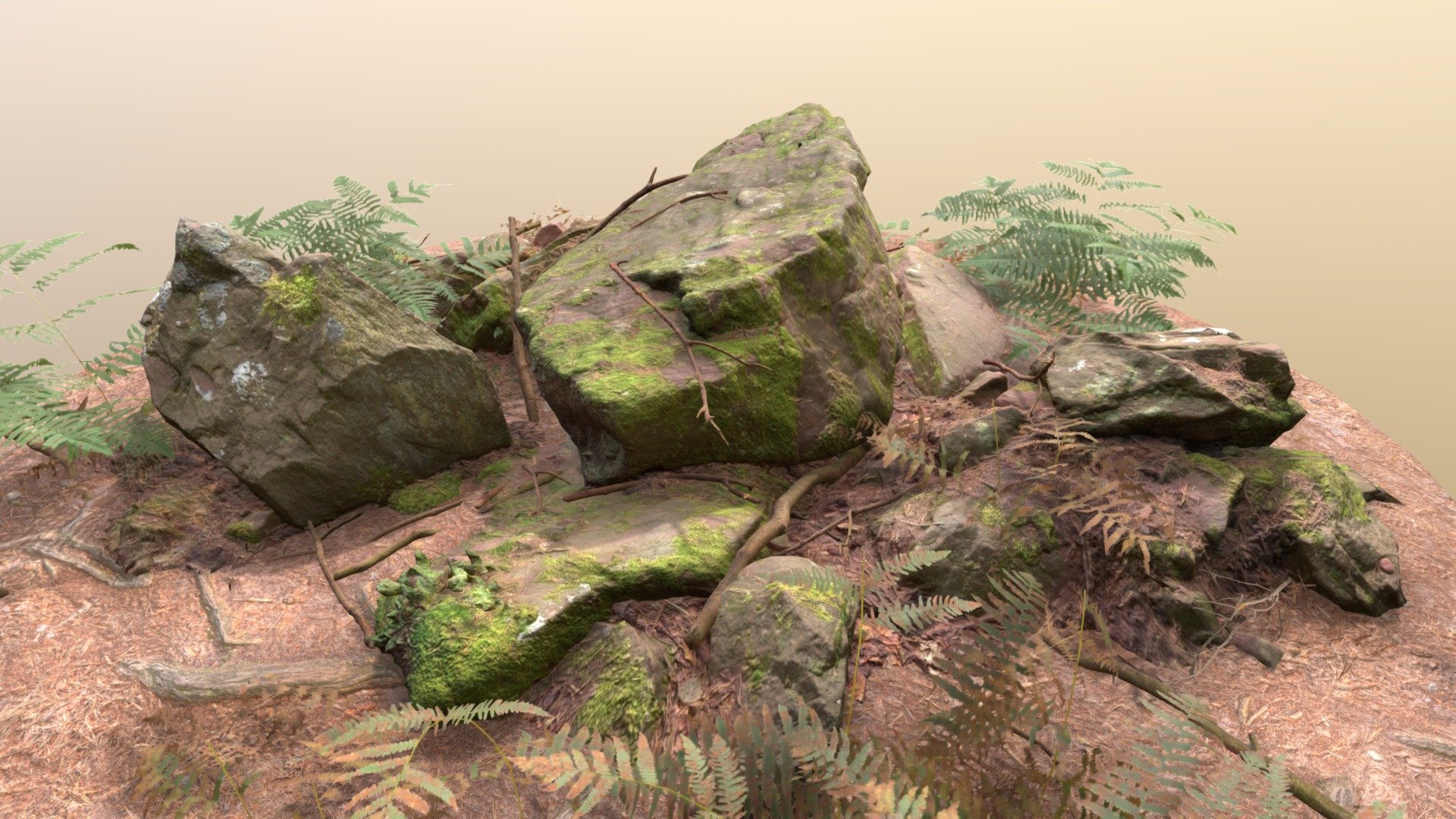 Assembly Forest Scenery Pine Sandstone Scan 3d model