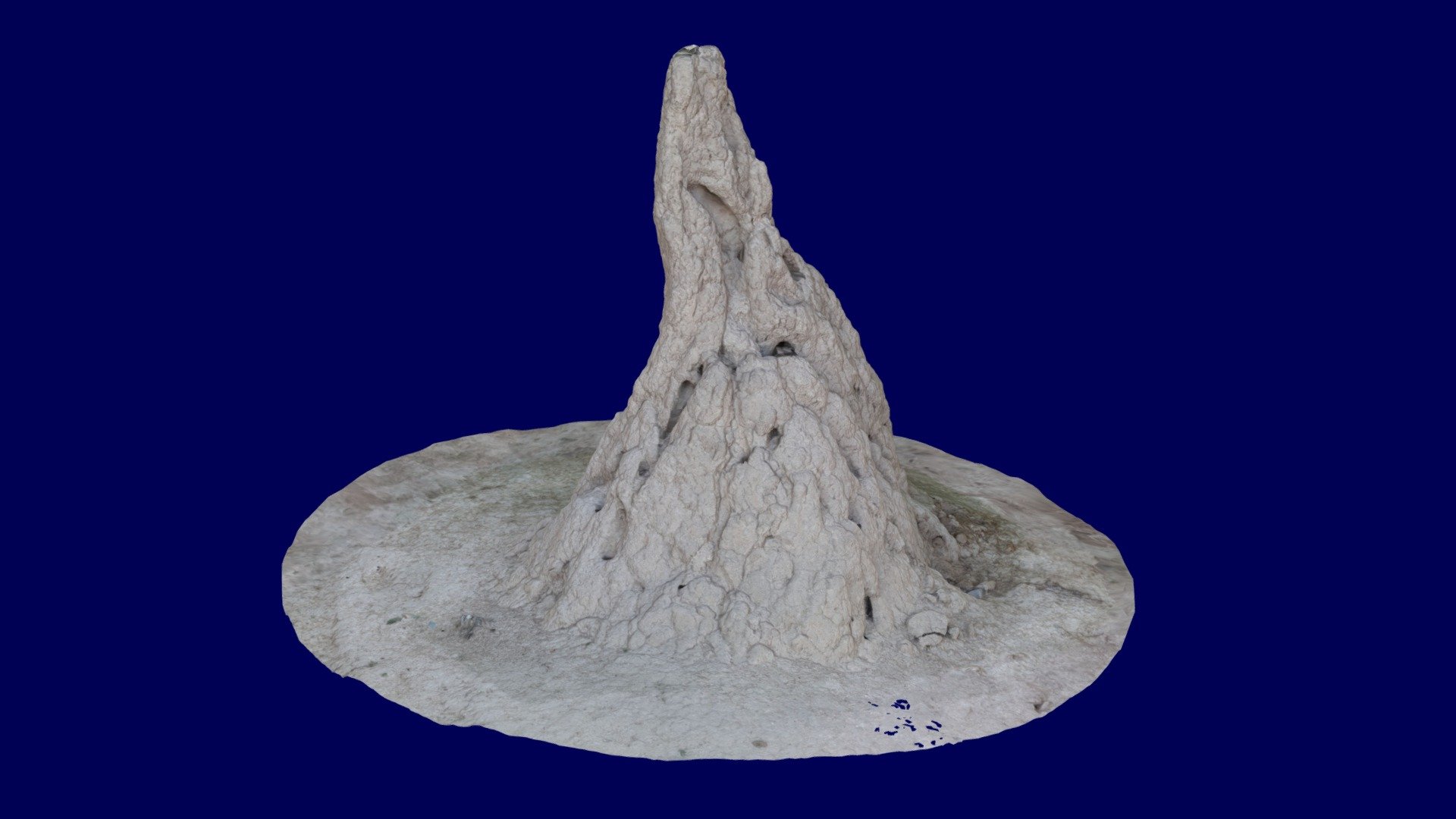 Termite mound 3d model