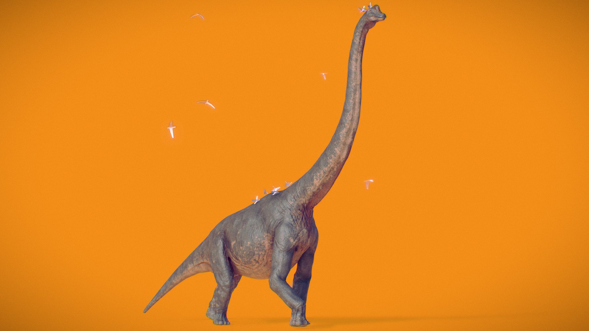 Brachiosaurus 3d model