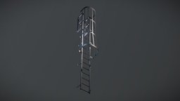 Ladder Cage