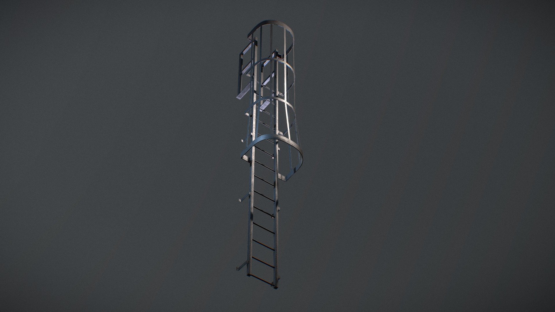 Ladder Cage 3d model