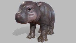 Baby Hippo