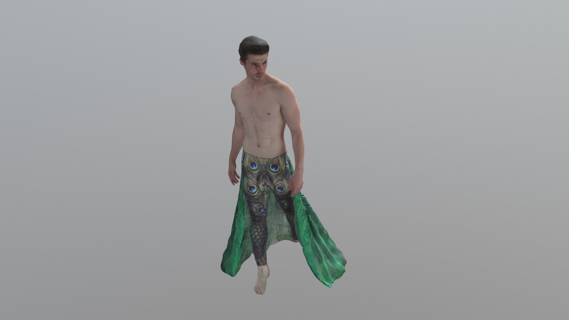 Male Peacock Stylings 3d model