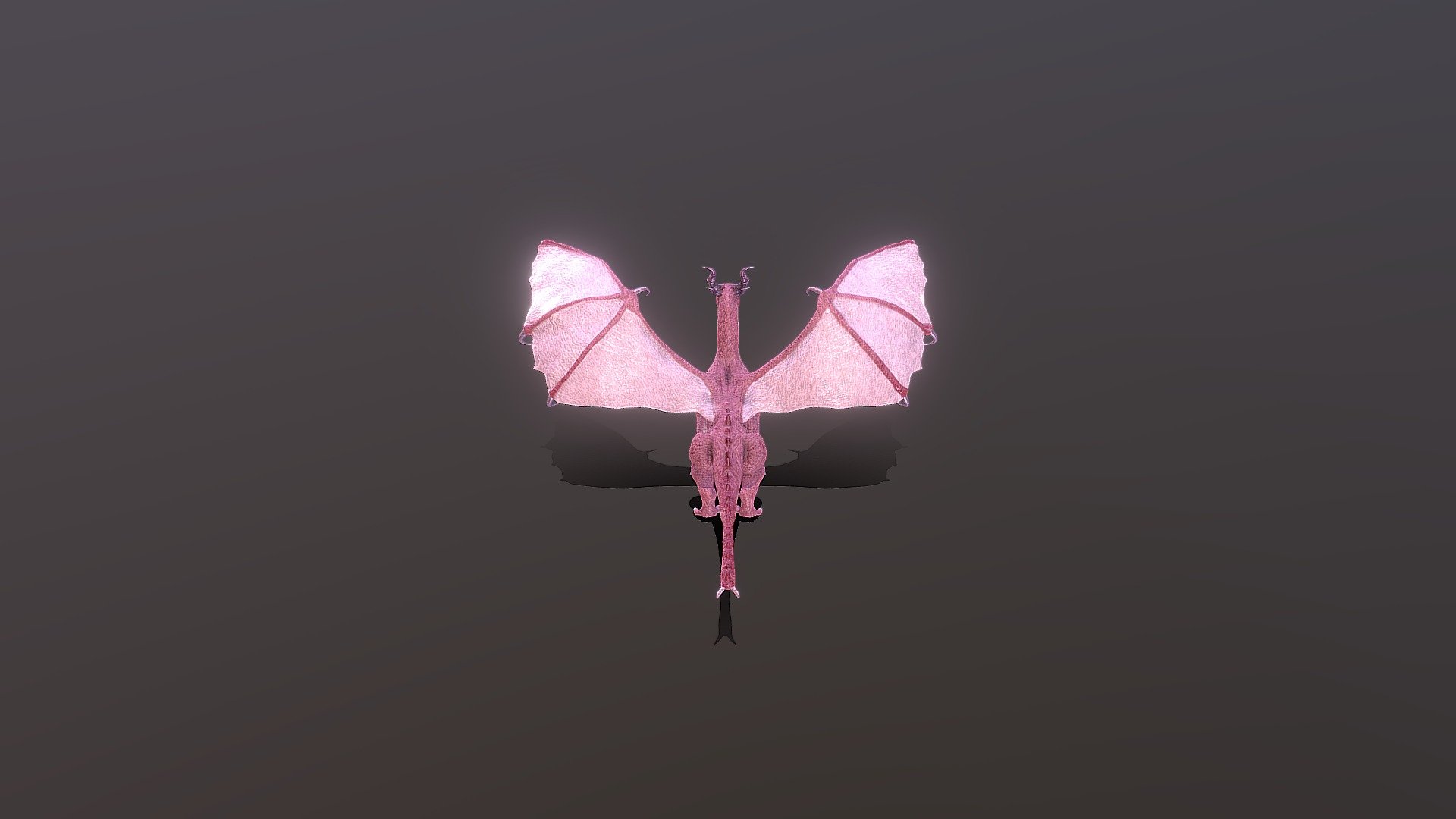 Low Dragon 3d model