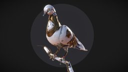 Robot Pigeon "Pavel"