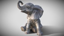 Elephant 3d scan