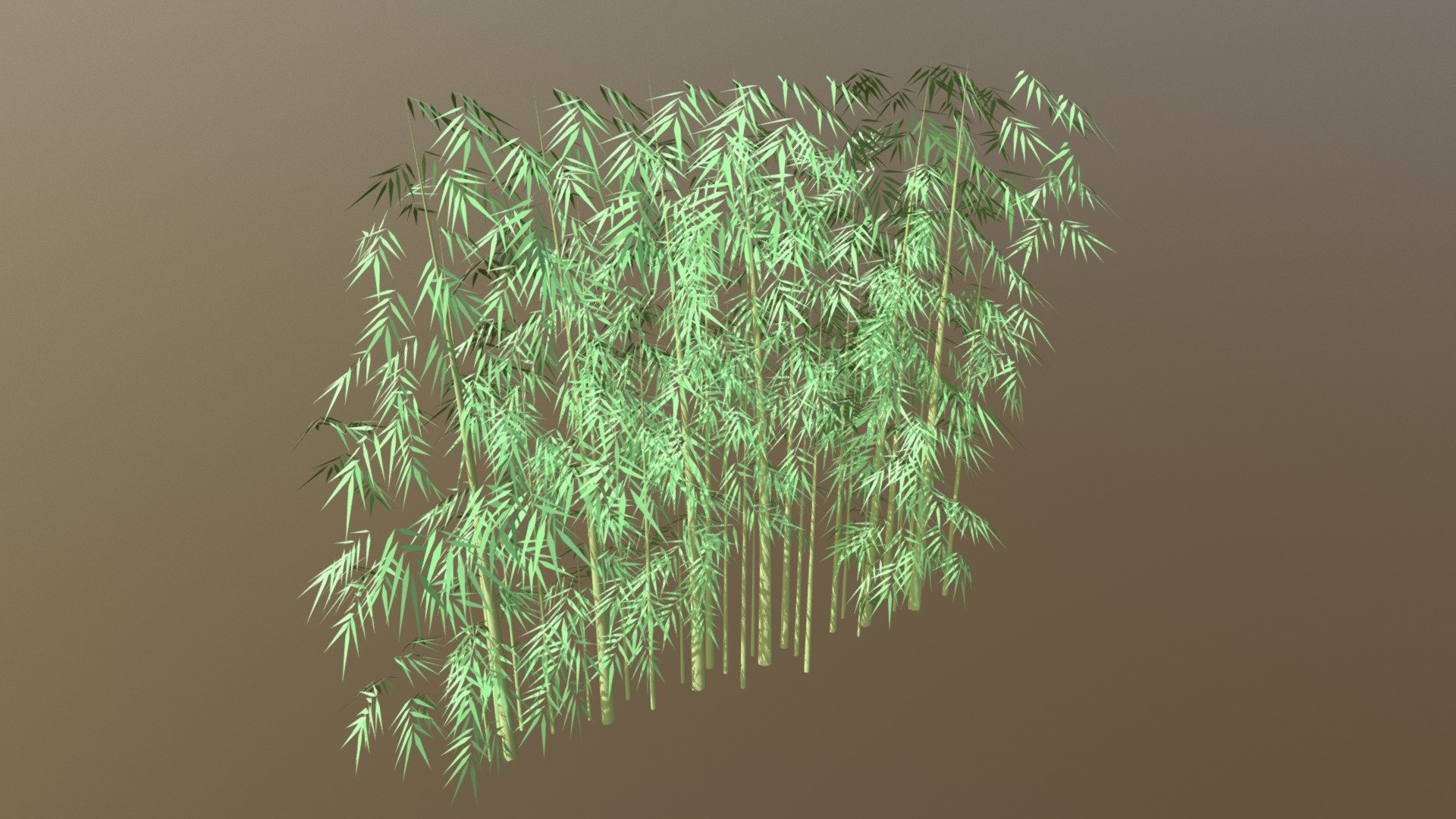 Bamboo 3d model