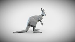 Kangaroo