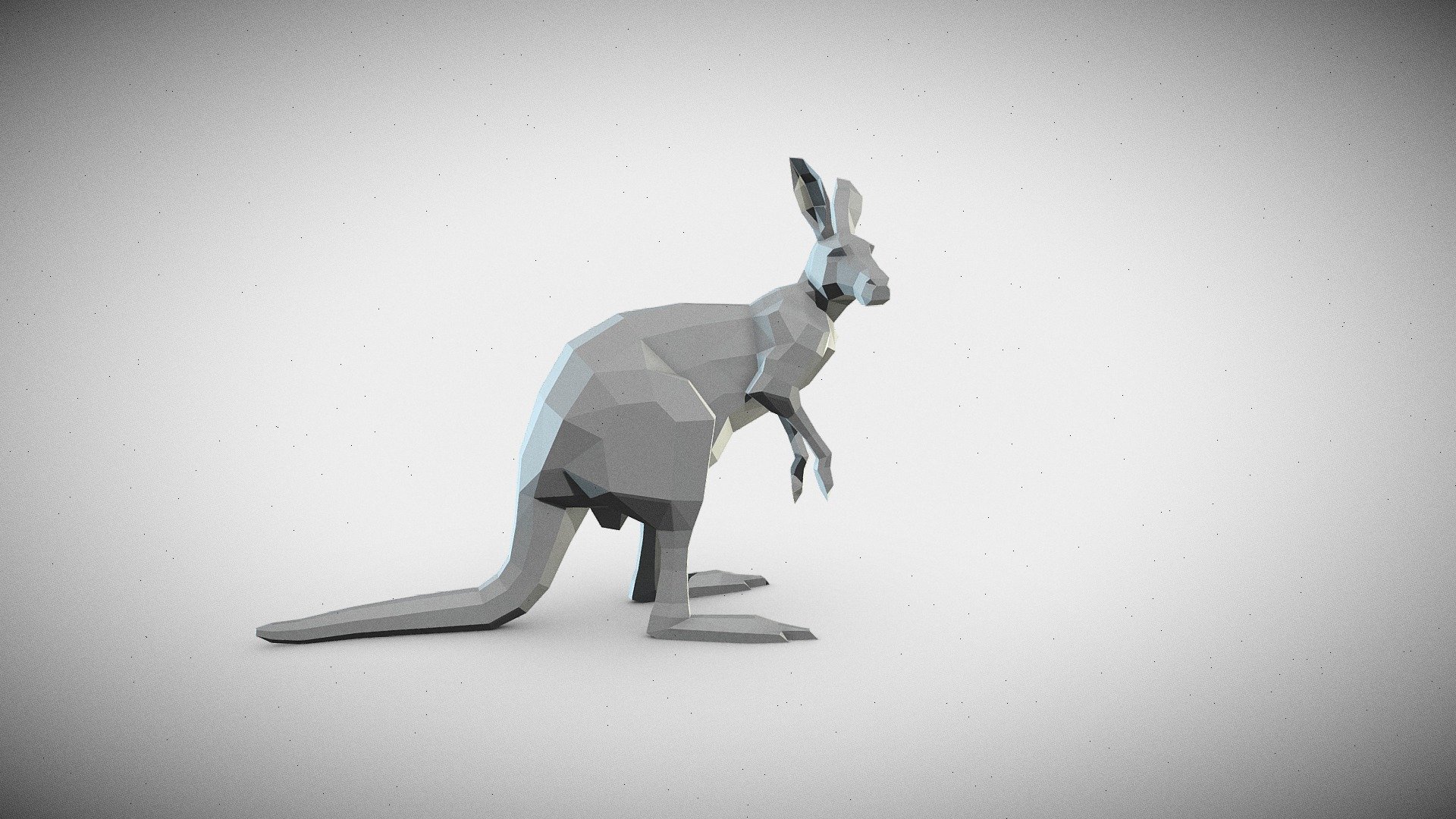 Kangaroo 3d model