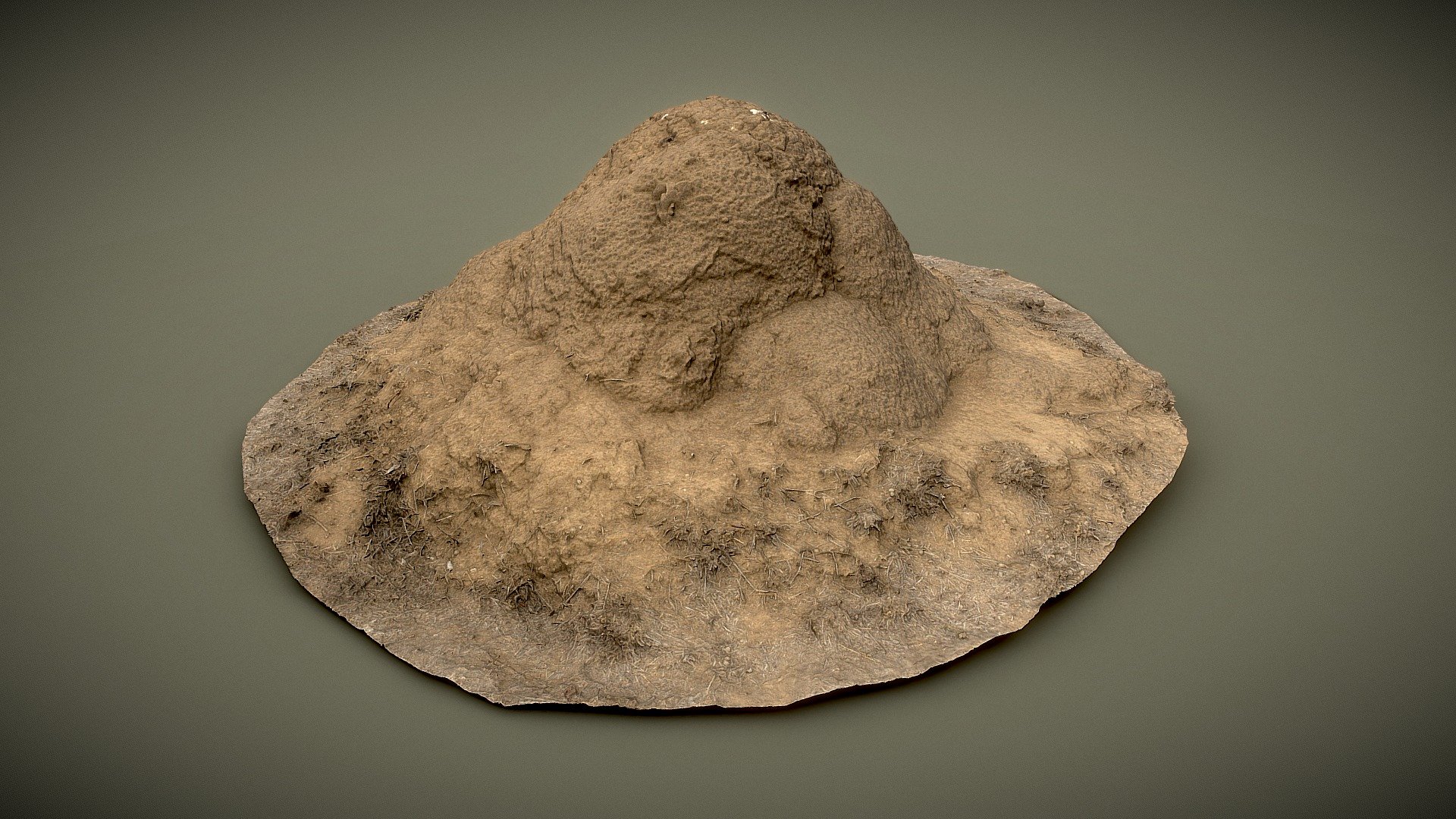 Termite Mound 3d model