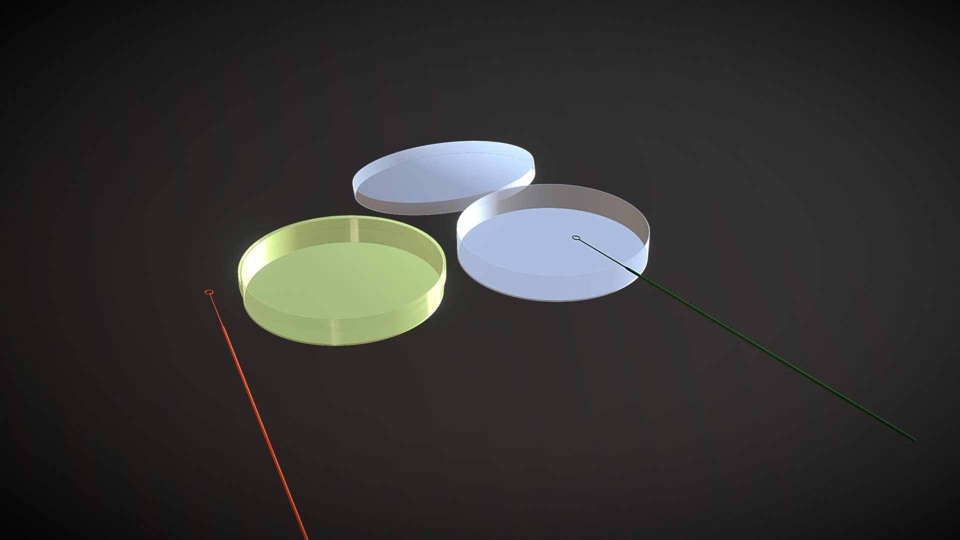 Petridish and loop 3d model