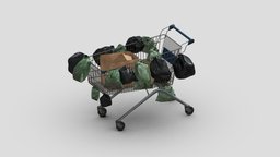 Homeless Shopping cart