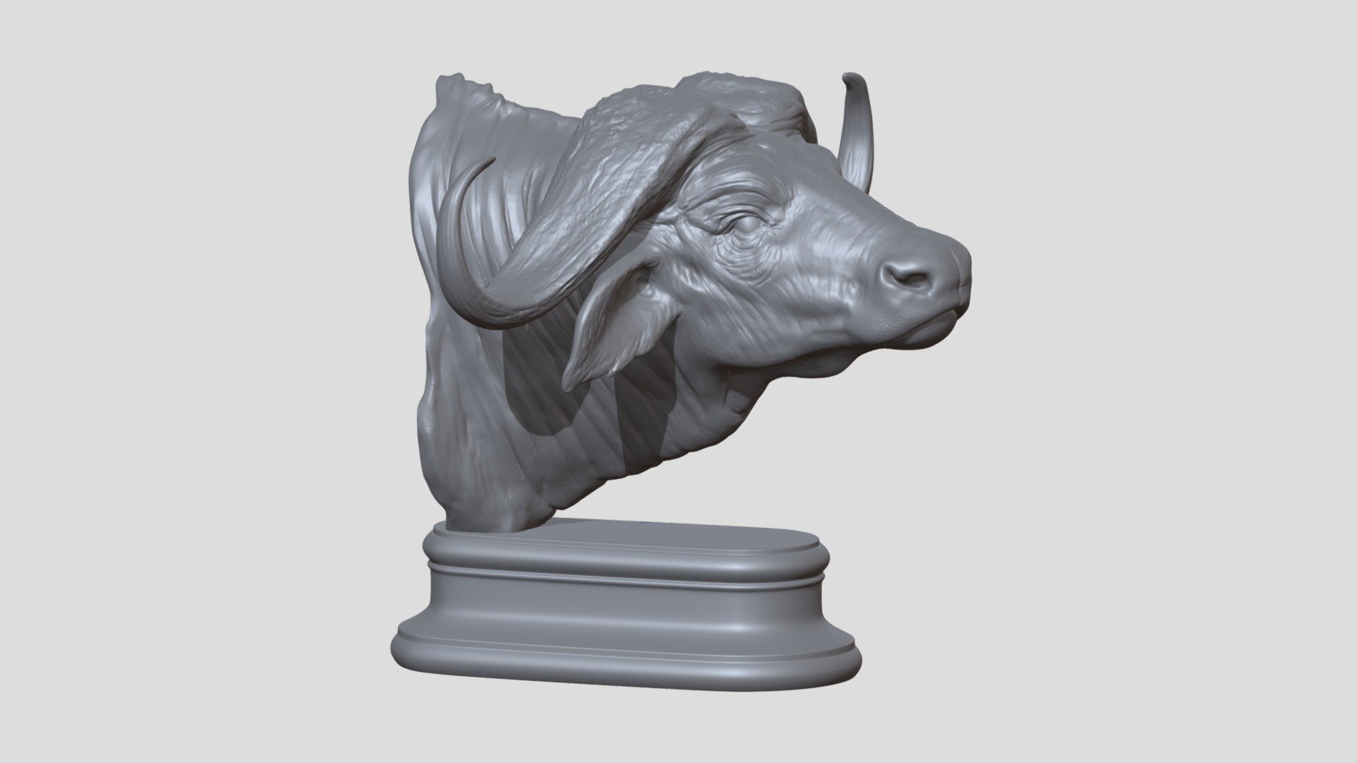 Buffalo African Head 3d model