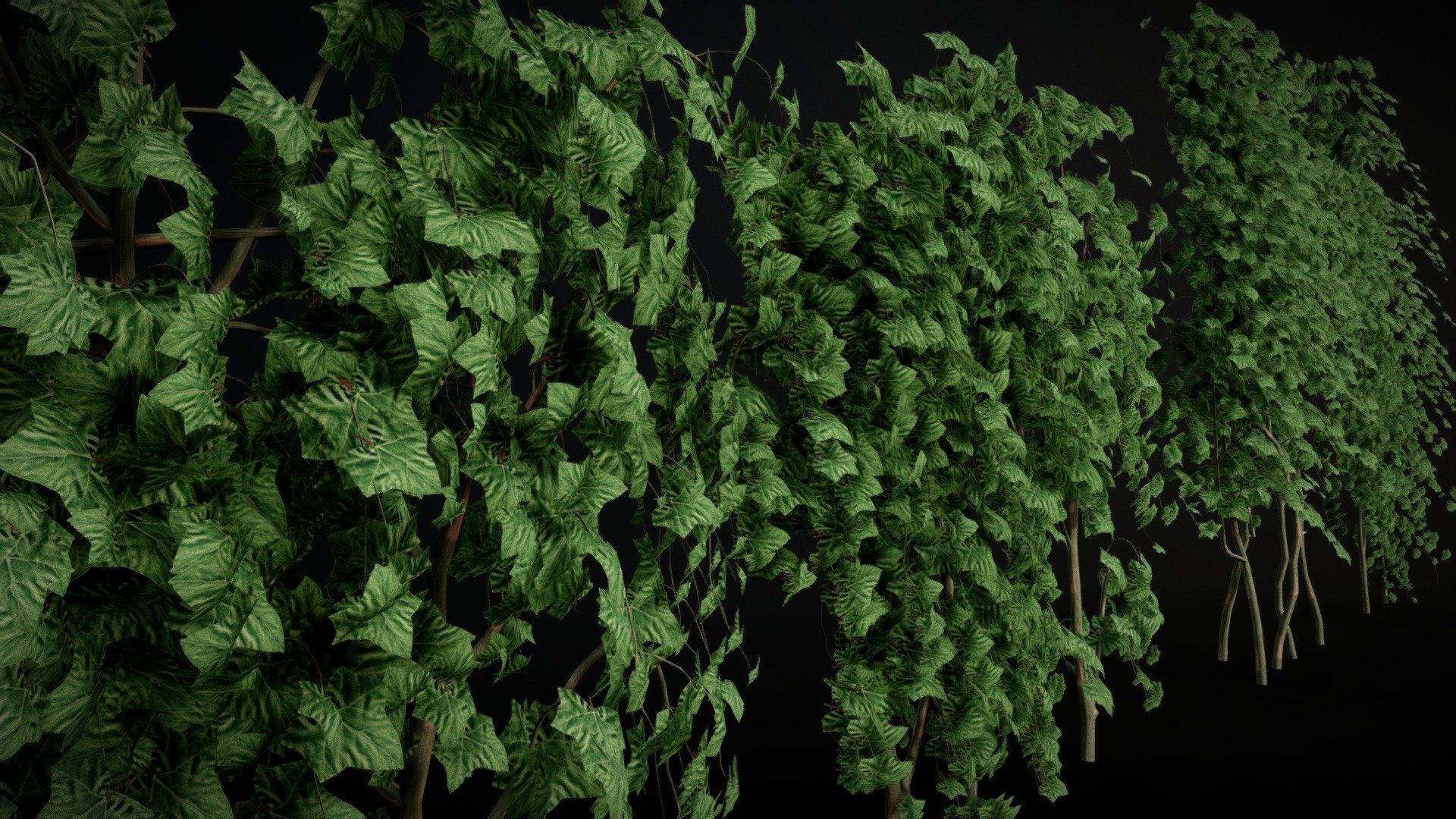 Ivy High Poly 3d model