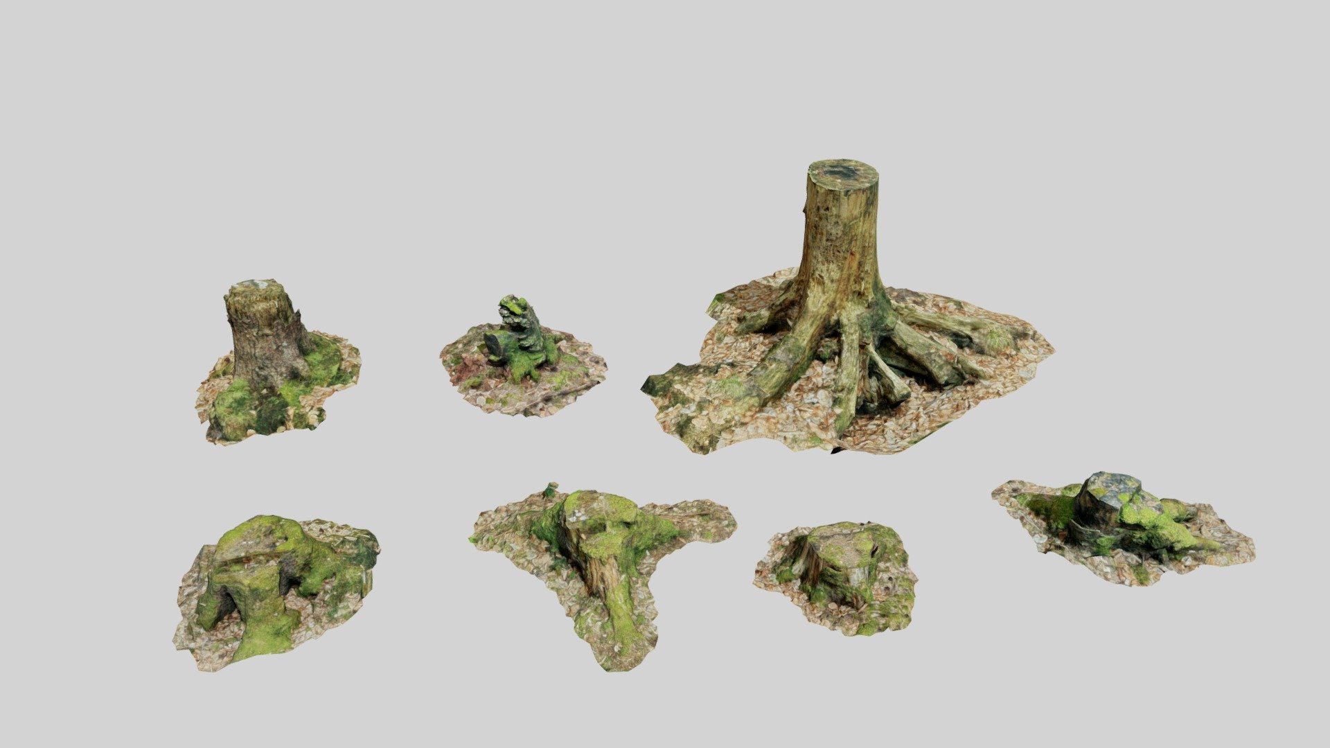 Tree Stump Collection Forest Dead Scan 3d model